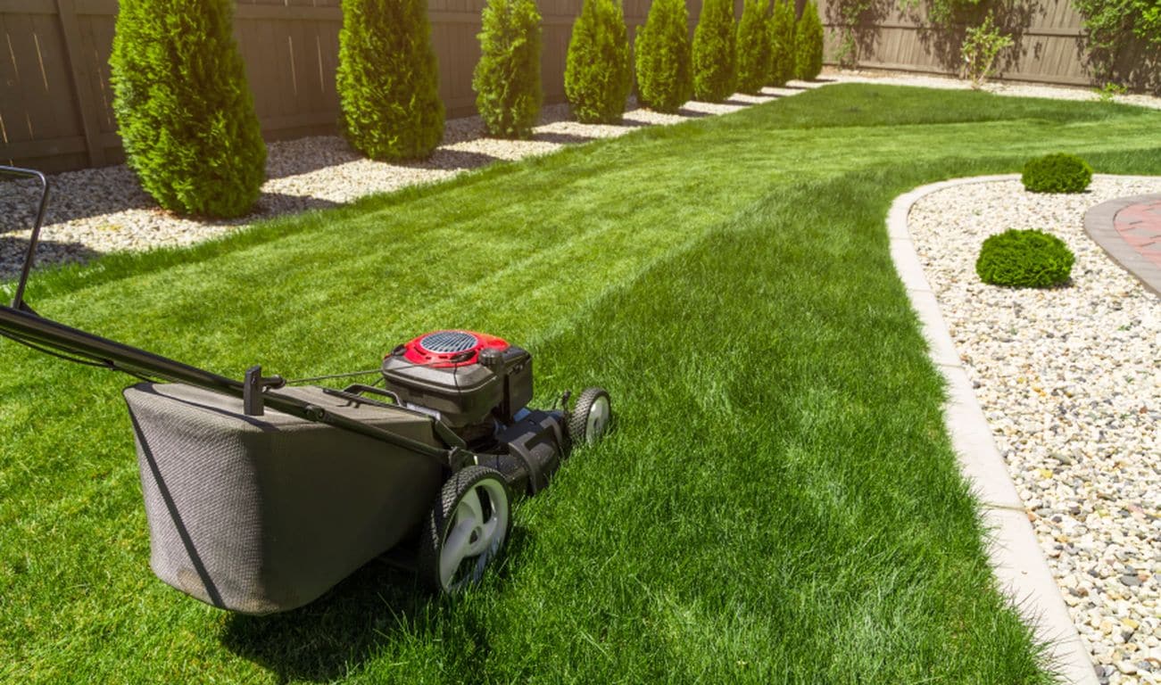 Burt Junk Removal & Lawn Care